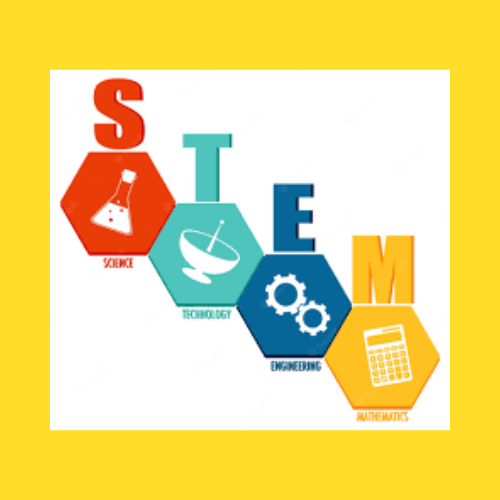  STEM